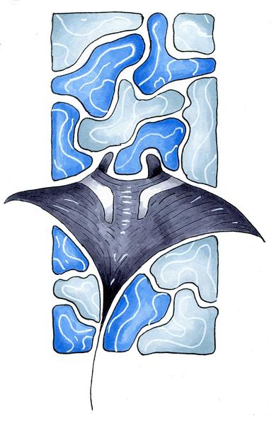 Marker drawing of a manta ray with simplified water