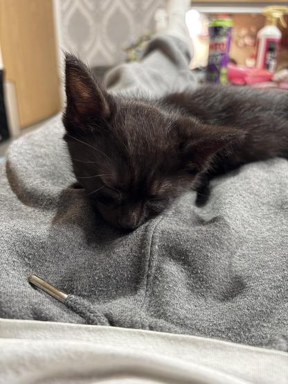 Black Kitty on my lap